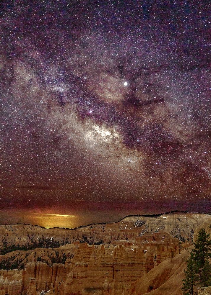Milky Way over Bryce Canyon (portrait) art print by Shawn/Corinne Severn for $57.95 CAD