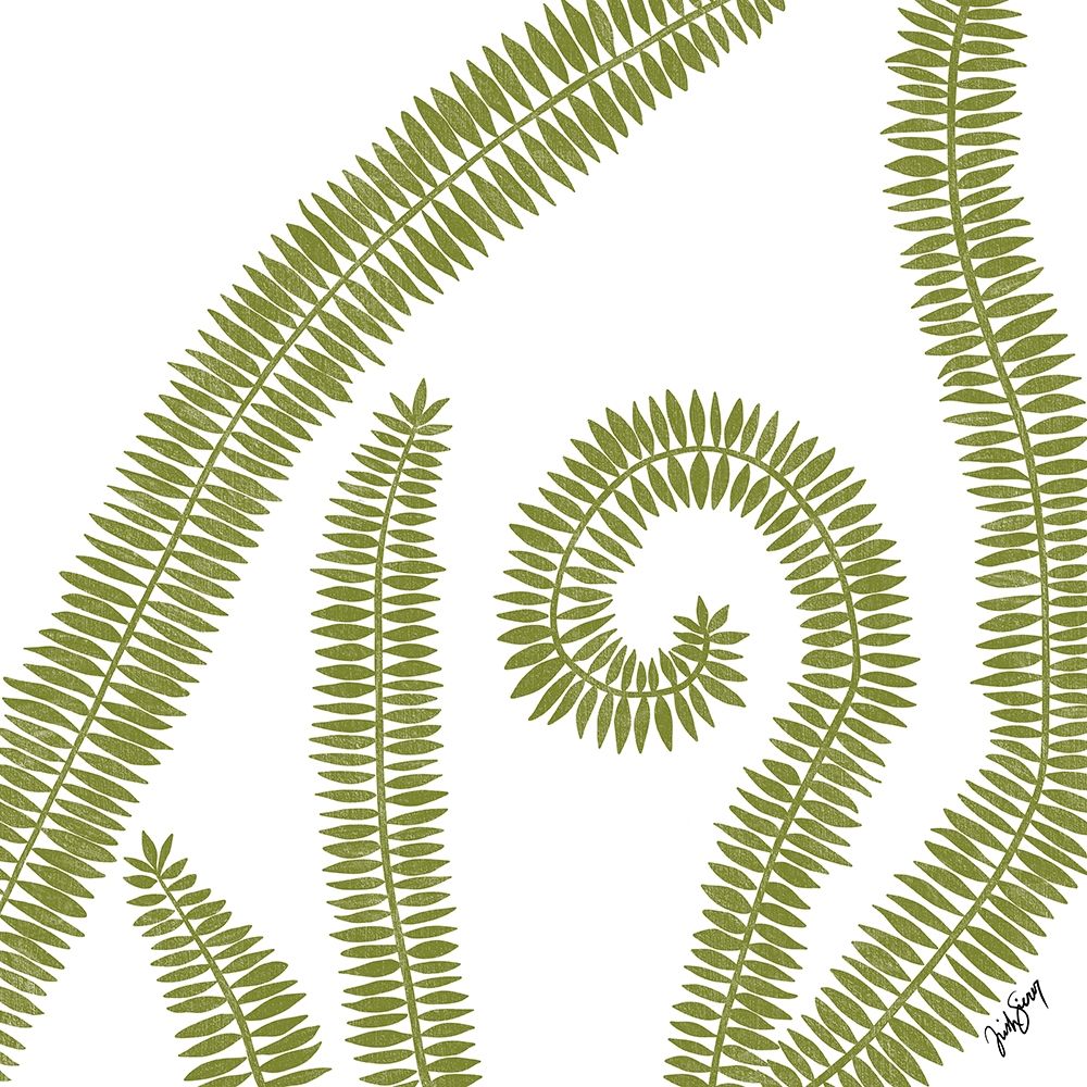 Curly Fern art print by Trish Sierer for $57.95 CAD