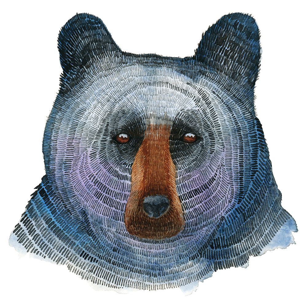 Black Bear art print by Jeannine Saylor for $57.95 CAD