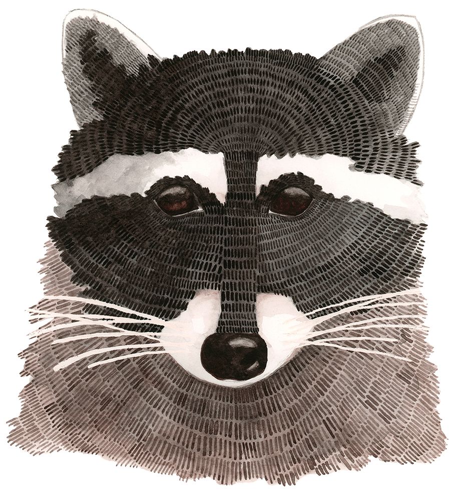 Raccoon art print by Jeannine Saylor for $57.95 CAD