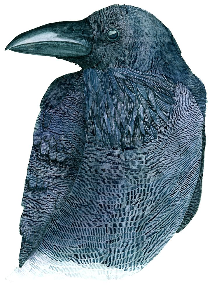 Raven art print by Jeannine Saylor for $57.95 CAD