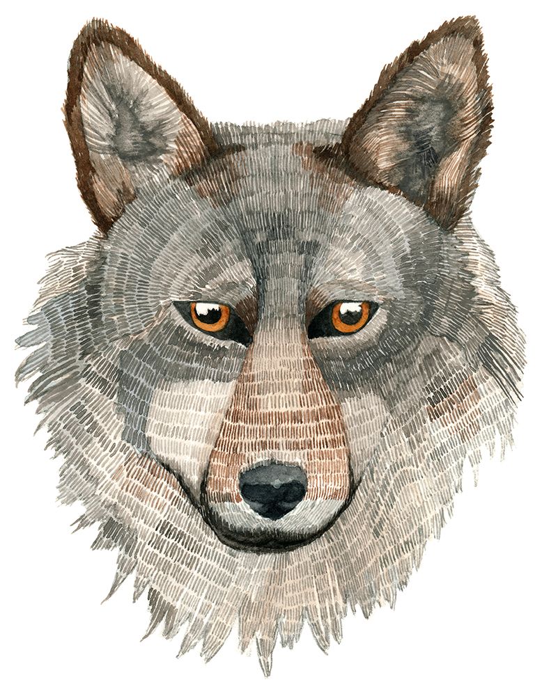 Wolf art print by Jeannine Saylor for $57.95 CAD