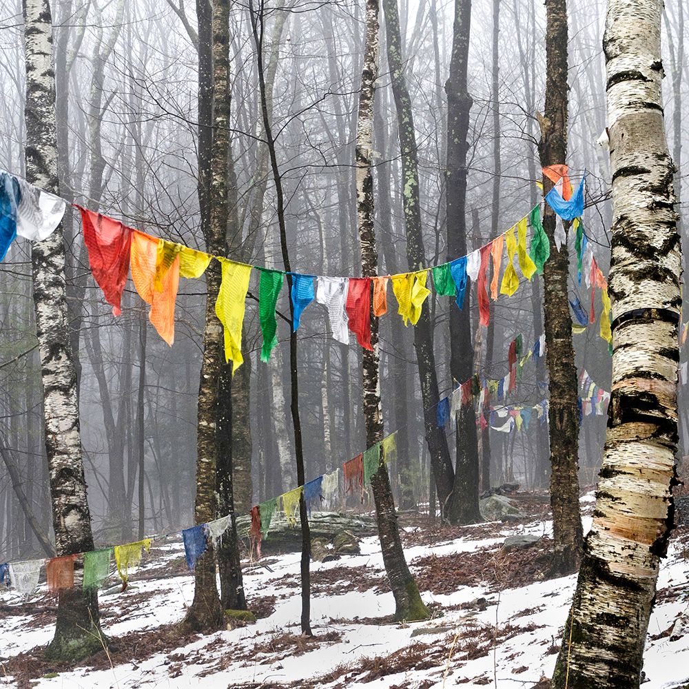 Prayer Flags, Woodstock, NY art print by Kelly Sinclair for $57.95 CAD