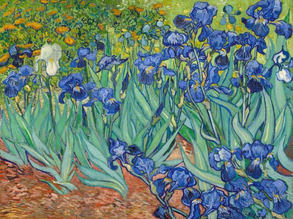 Irises 1889 art print by Vincent Van Gogh for $57.95 CAD