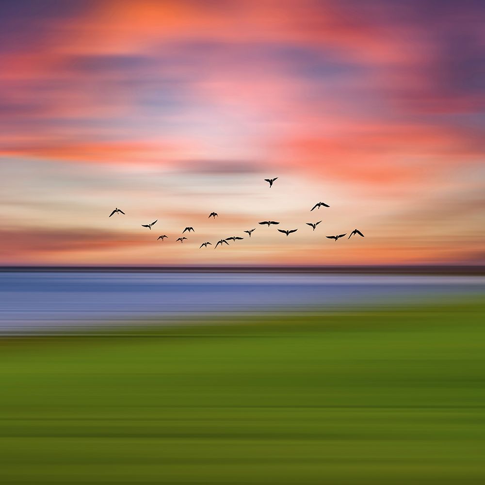 Birds In The Sunset art print by Igor Vitomirov for $57.95 CAD