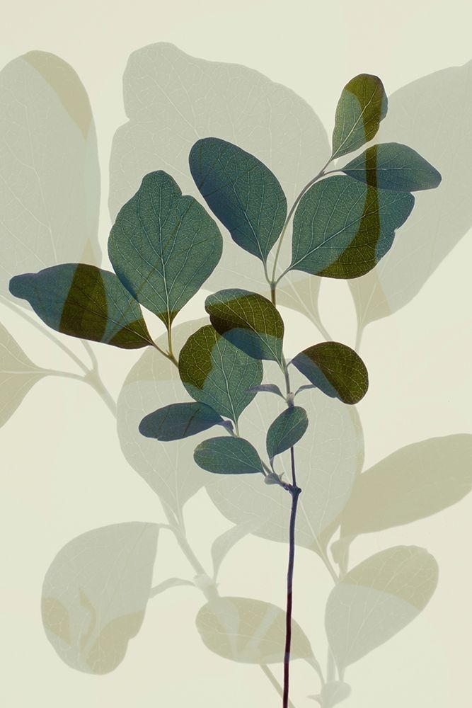 Green Leaves 7 art print by Ian Winstanley for $57.95 CAD