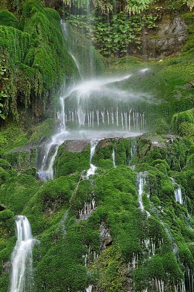 Moss Waterfall art print by Lynda White for $57.95 CAD