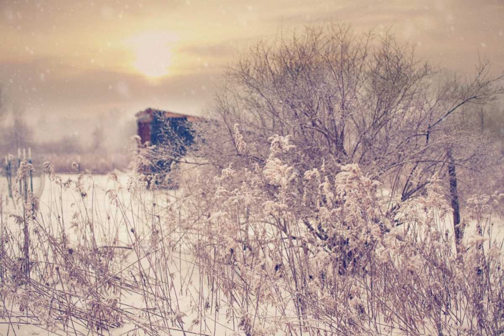 Winter Sunset art print by Kelly Poynter for $57.95 CAD