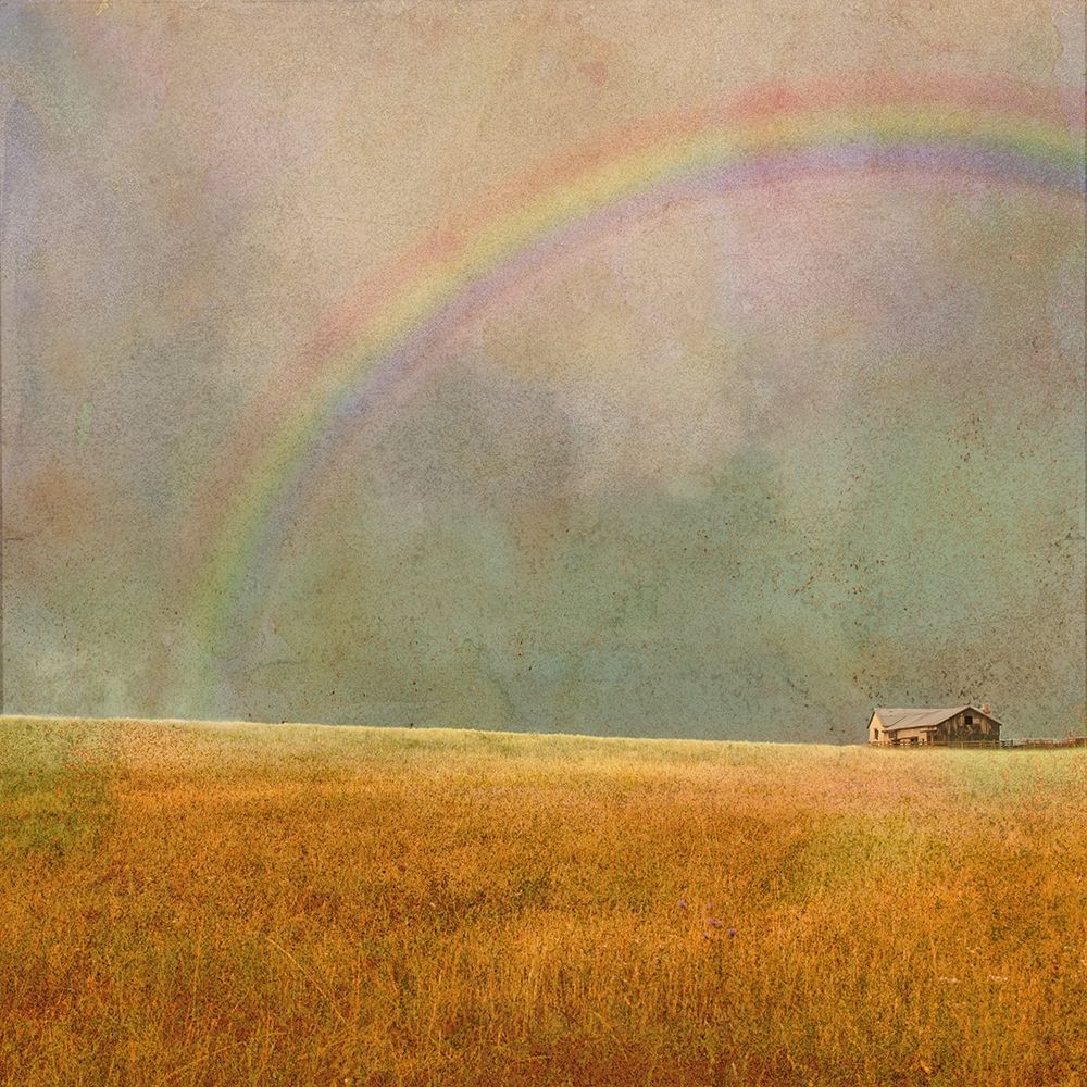 After The Rain Rainbow art print by Ynon Mabat for $57.95 CAD