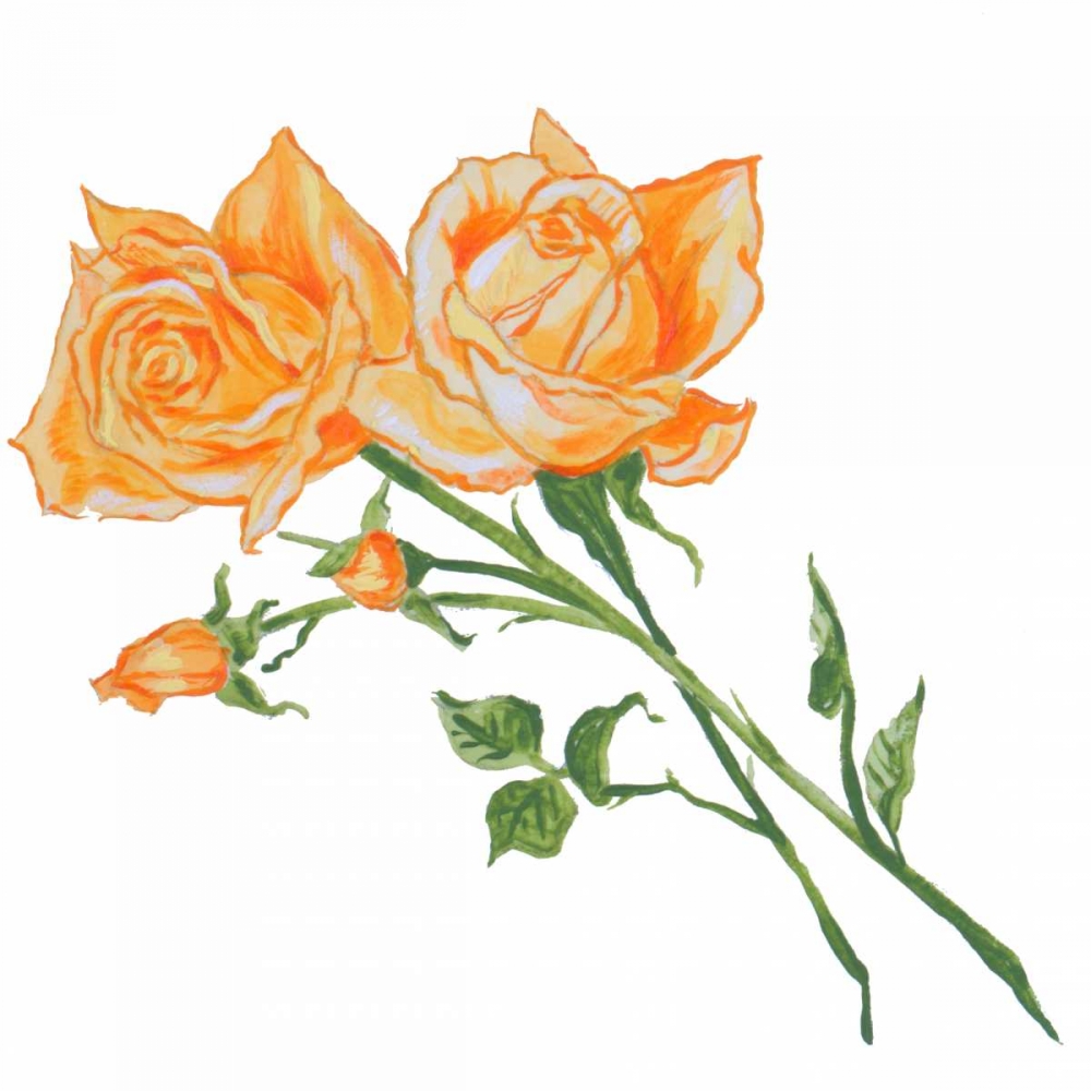 Floral IV art print by Linda Baliko for $57.95 CAD