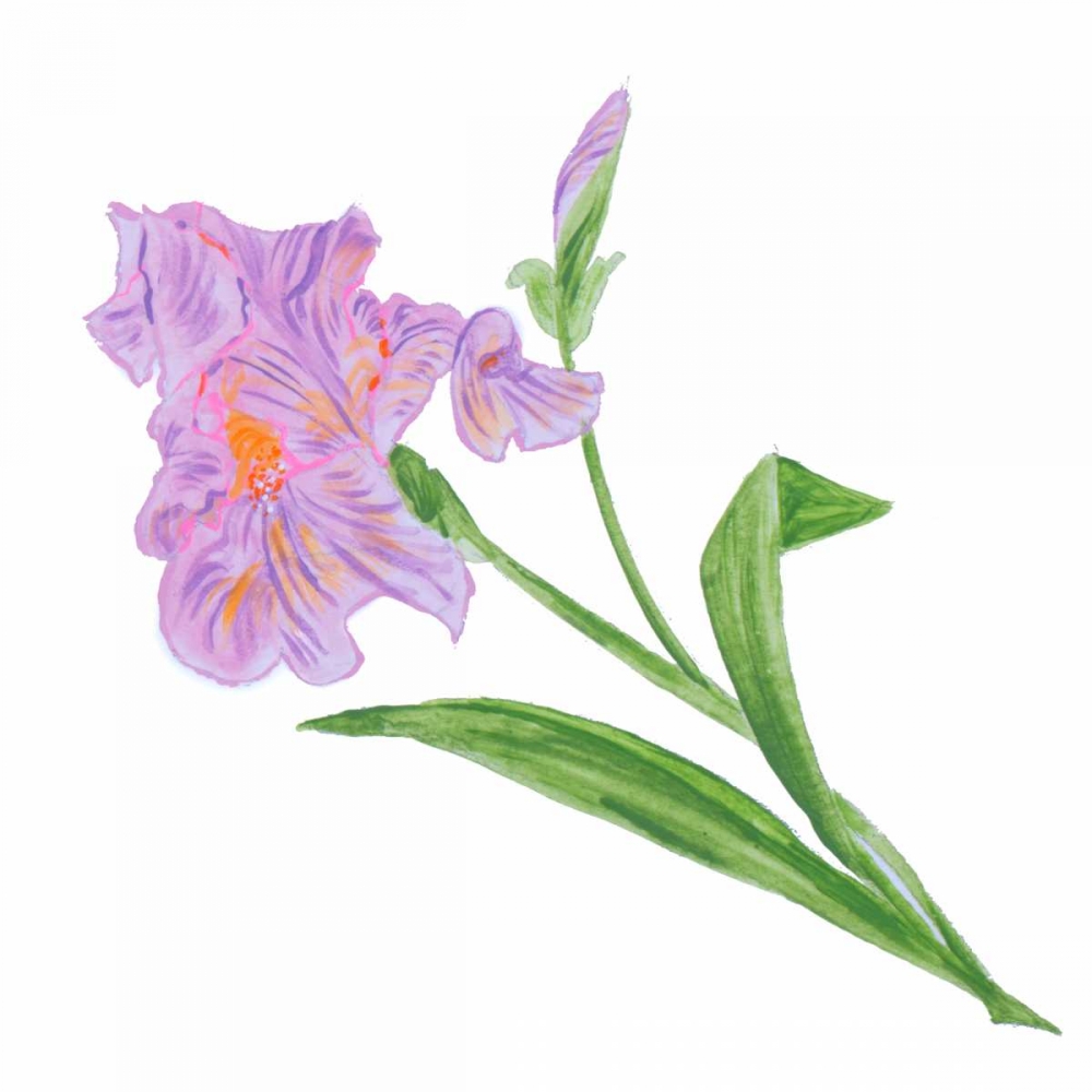 Floral VI art print by Linda Baliko for $57.95 CAD