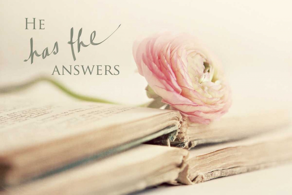 He has the Answers art print by Sarah Gardner for $57.95 CAD