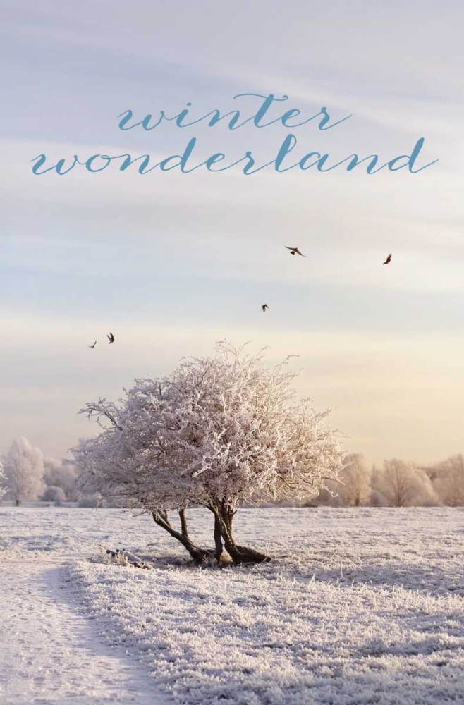 Winter Wonderland art print by Sarah Gardner for $57.95 CAD