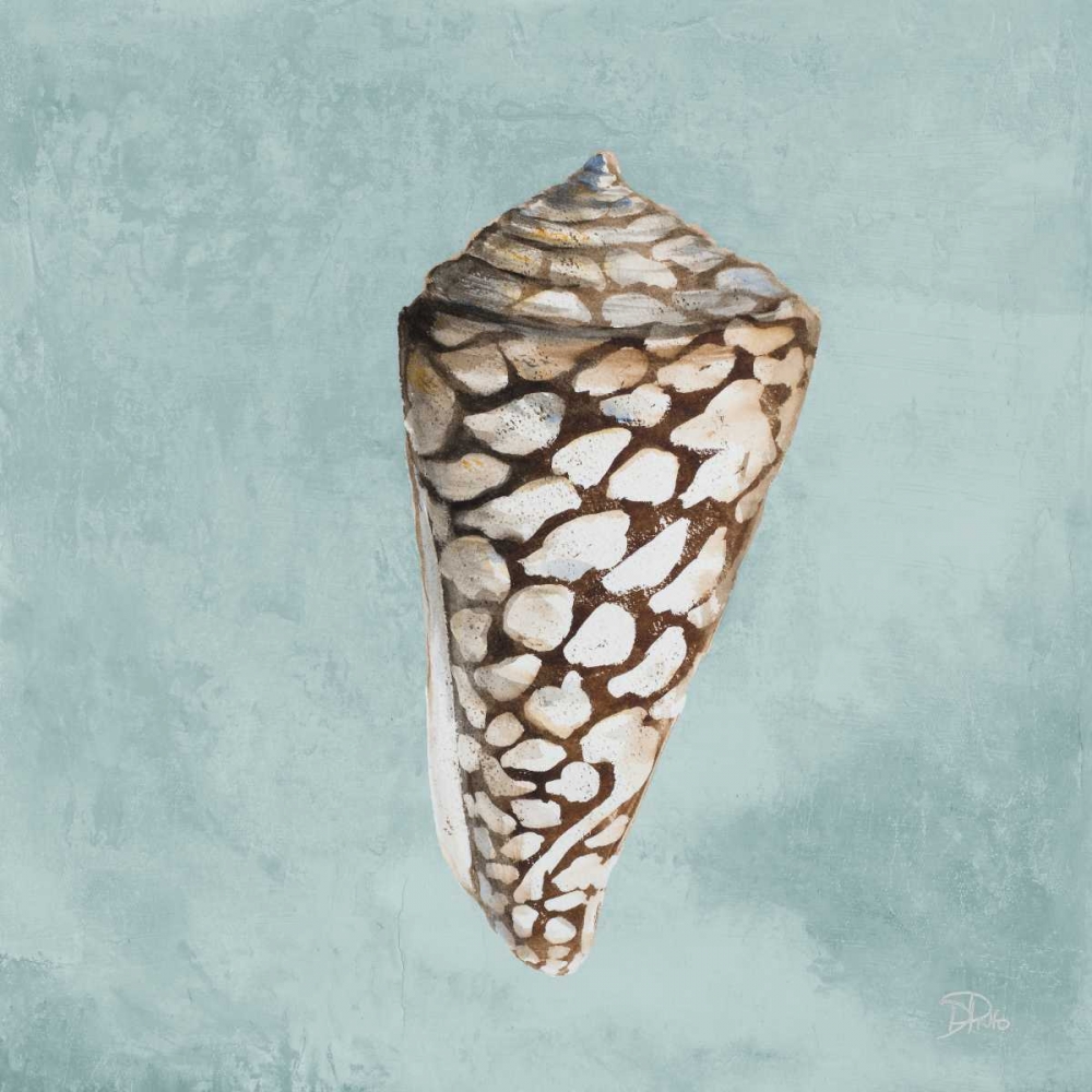 Modern Shell on Teal II art print by Patricia Pinto for $63.95 CAD