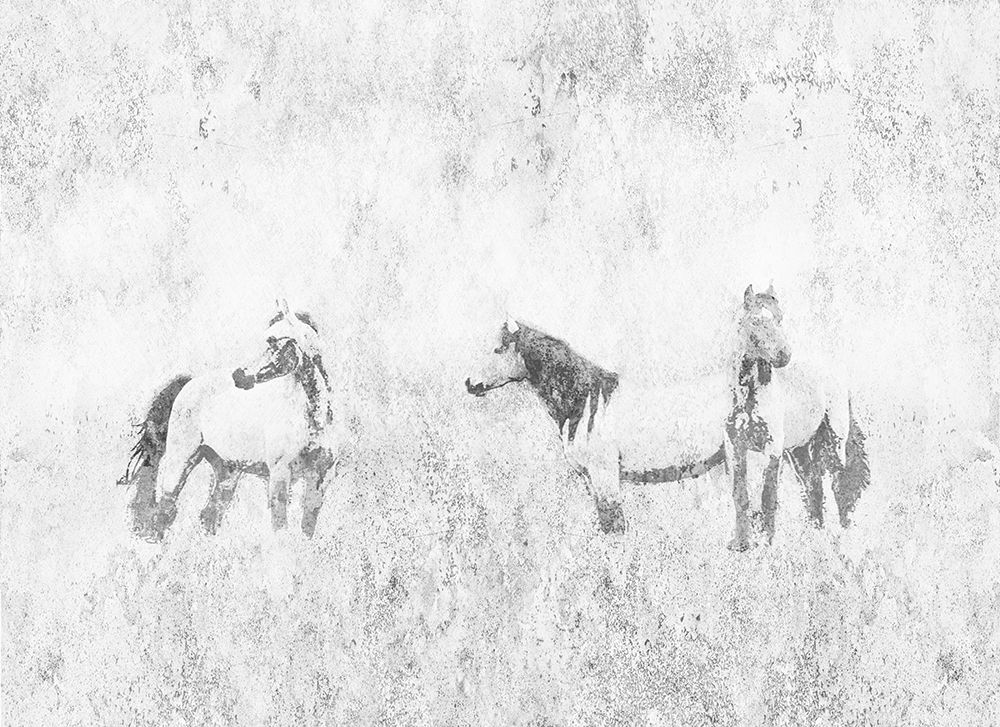 Horses In The Mist art print by Ynon Mabat for $57.95 CAD