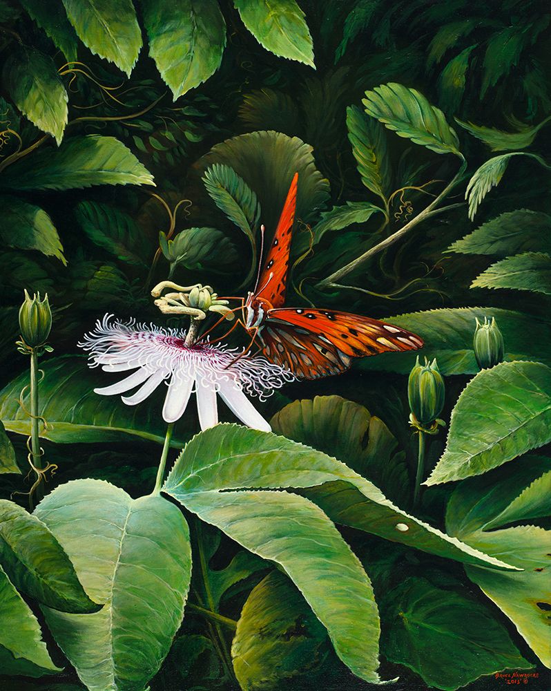 Snacking Butterfly art print by Bruce Nawrocke for $57.95 CAD