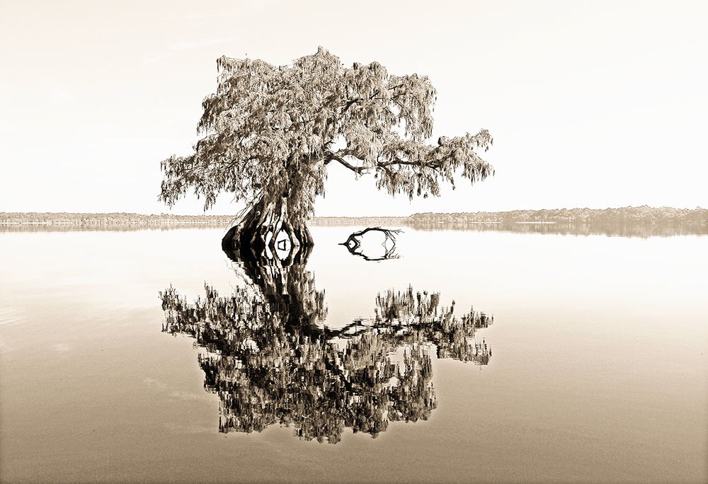 Reflective View art print by Bruce Nawrocke for $57.95 CAD