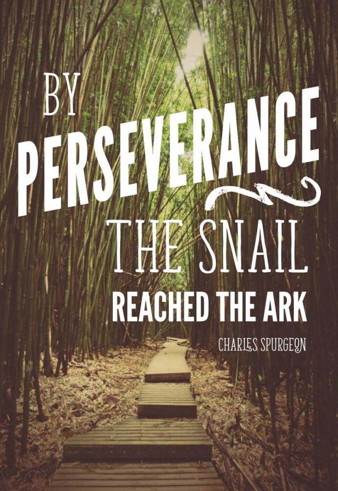 Perseverance art print by Bruce Nawrocke for $57.95 CAD