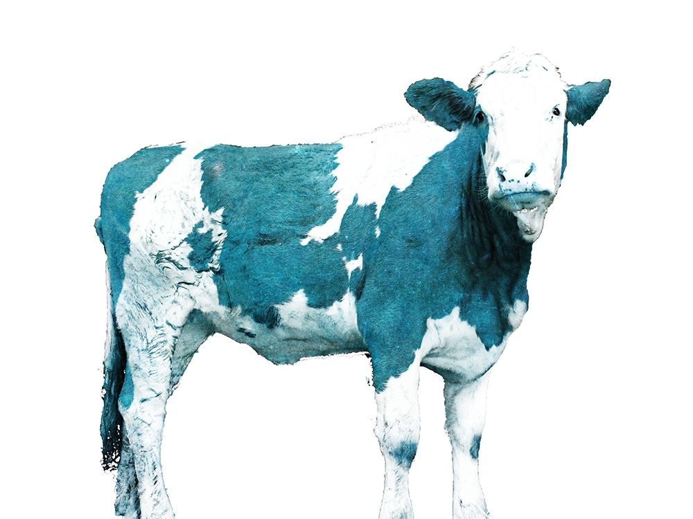 Bright Blue Swiss Cow art print by JB Hyler for $57.95 CAD
