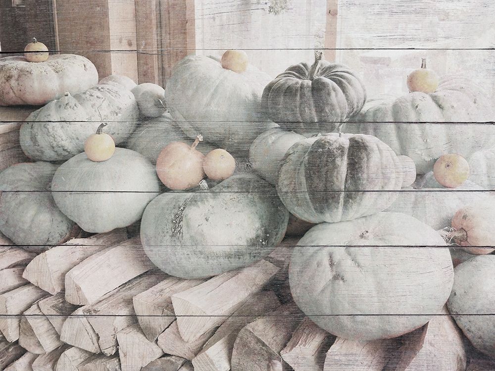 Pumpkins in Fall art print by JB Hyler for $57.95 CAD