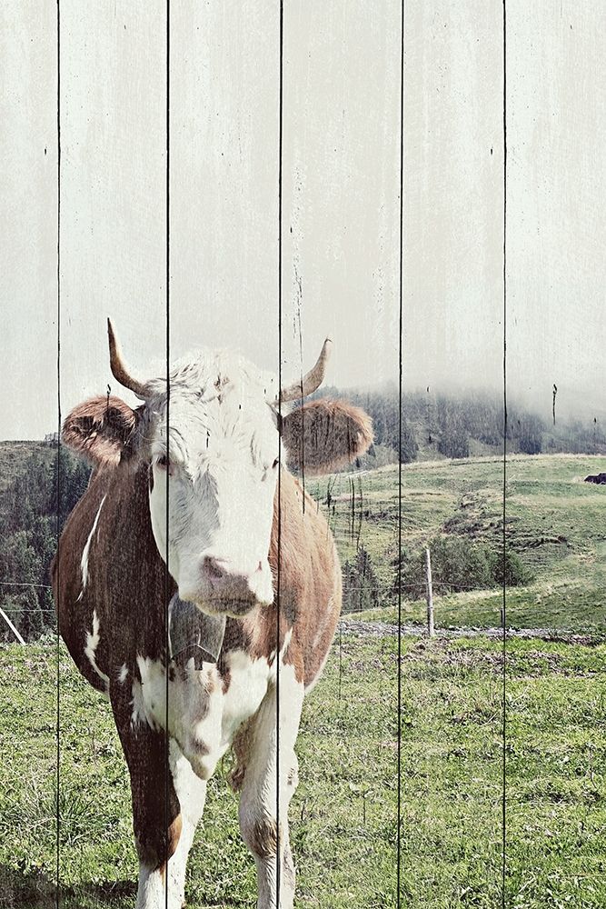 Country Cow on Wood art print by JB Hyler for $57.95 CAD