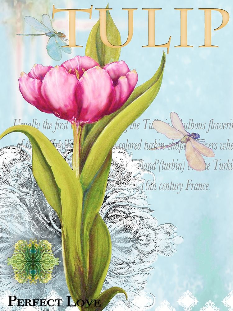 Elegant Tulip I art print by Diannart for $57.95 CAD
