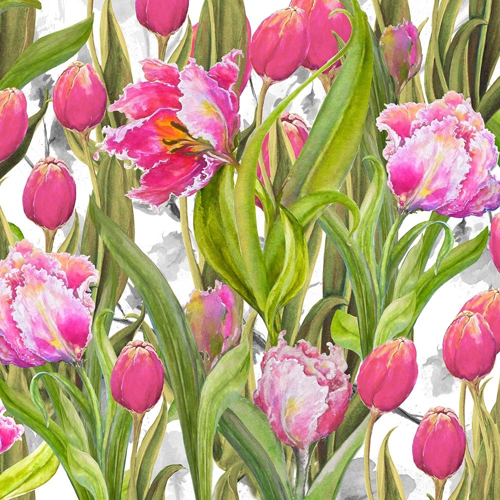 Tulip Symphony I art print by Diannart for $57.95 CAD