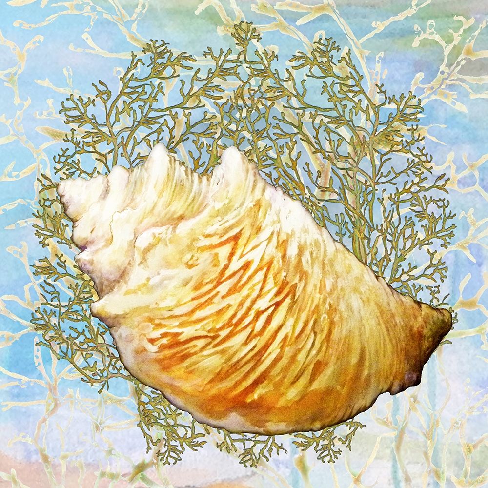 Shell Medley IV art print by Diannart for $57.95 CAD