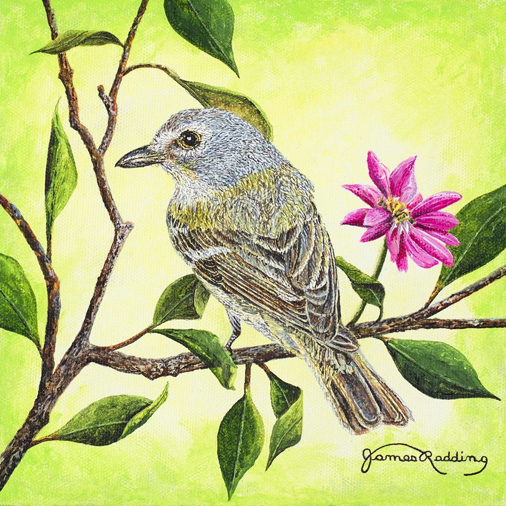 Tropical Bird art print by James Redding for $57.95 CAD