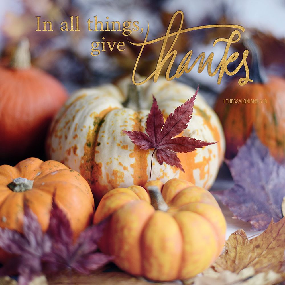 Give Thanks art print by Sarah Gardner for $57.95 CAD