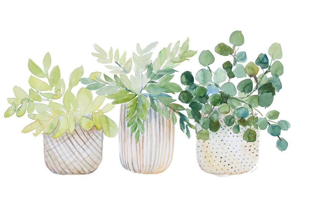 Three Potted Plants art print by Lanie Loreth for $57.95 CAD