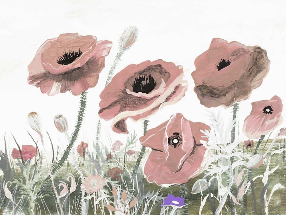 Victory Pink Poppies II art print by Robin Maria for $57.95 CAD