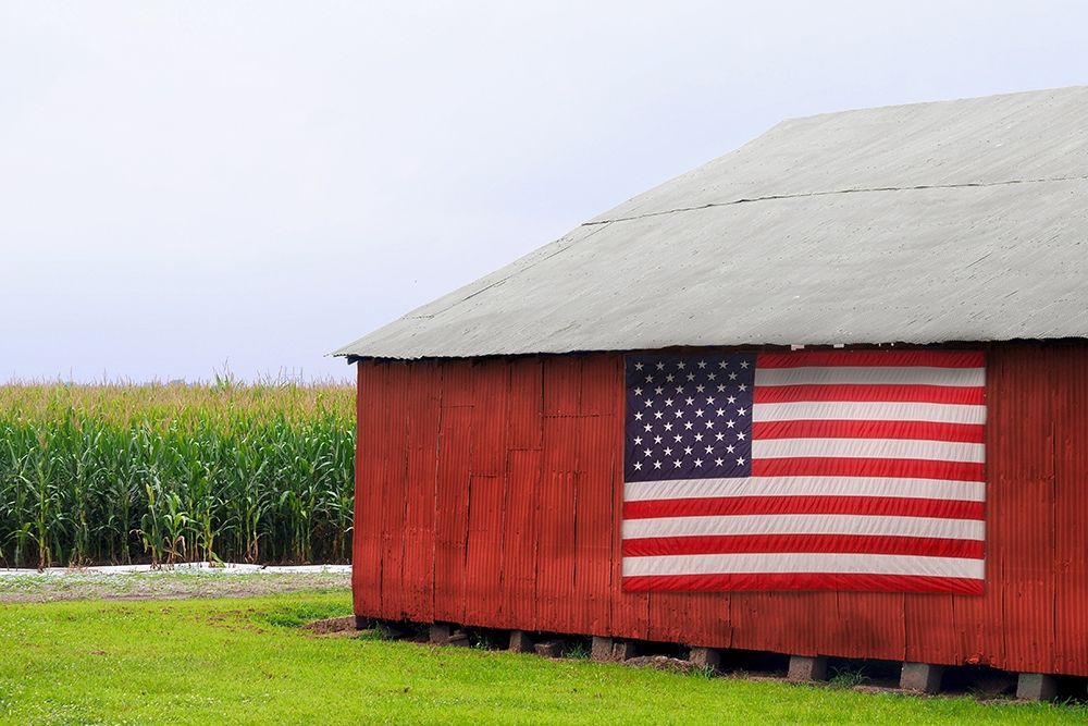 American Barn art print by Gail Peck for $57.95 CAD