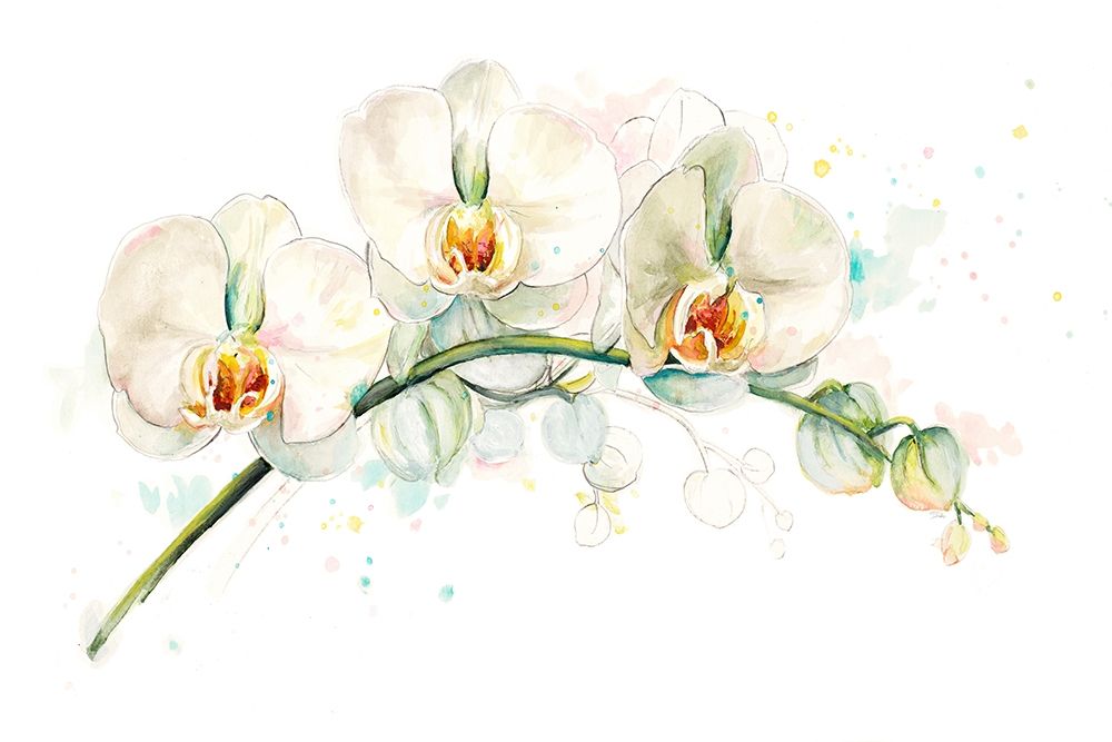 White Orchids art print by Patricia Pinto for $57.95 CAD