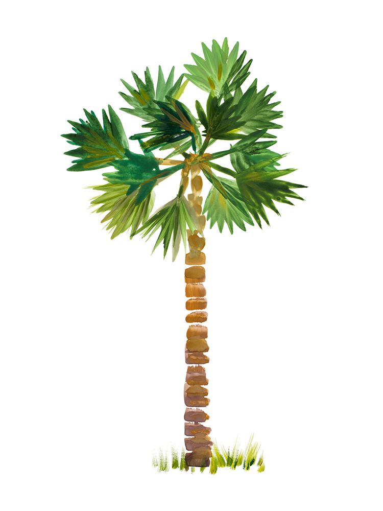 The Palm III art print by Julie DeRice for $57.95 CAD