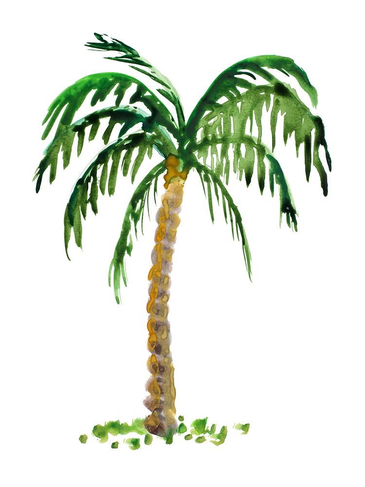 The Palm I art print by Julie DeRice for $57.95 CAD
