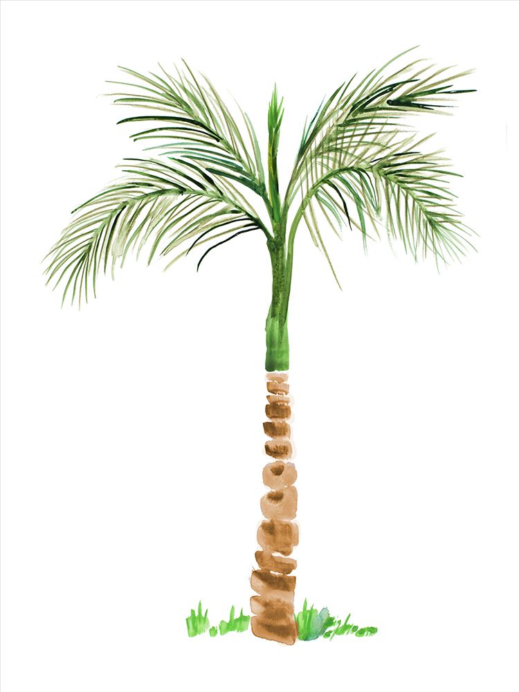 The Palm II art print by Julie DeRice for $57.95 CAD