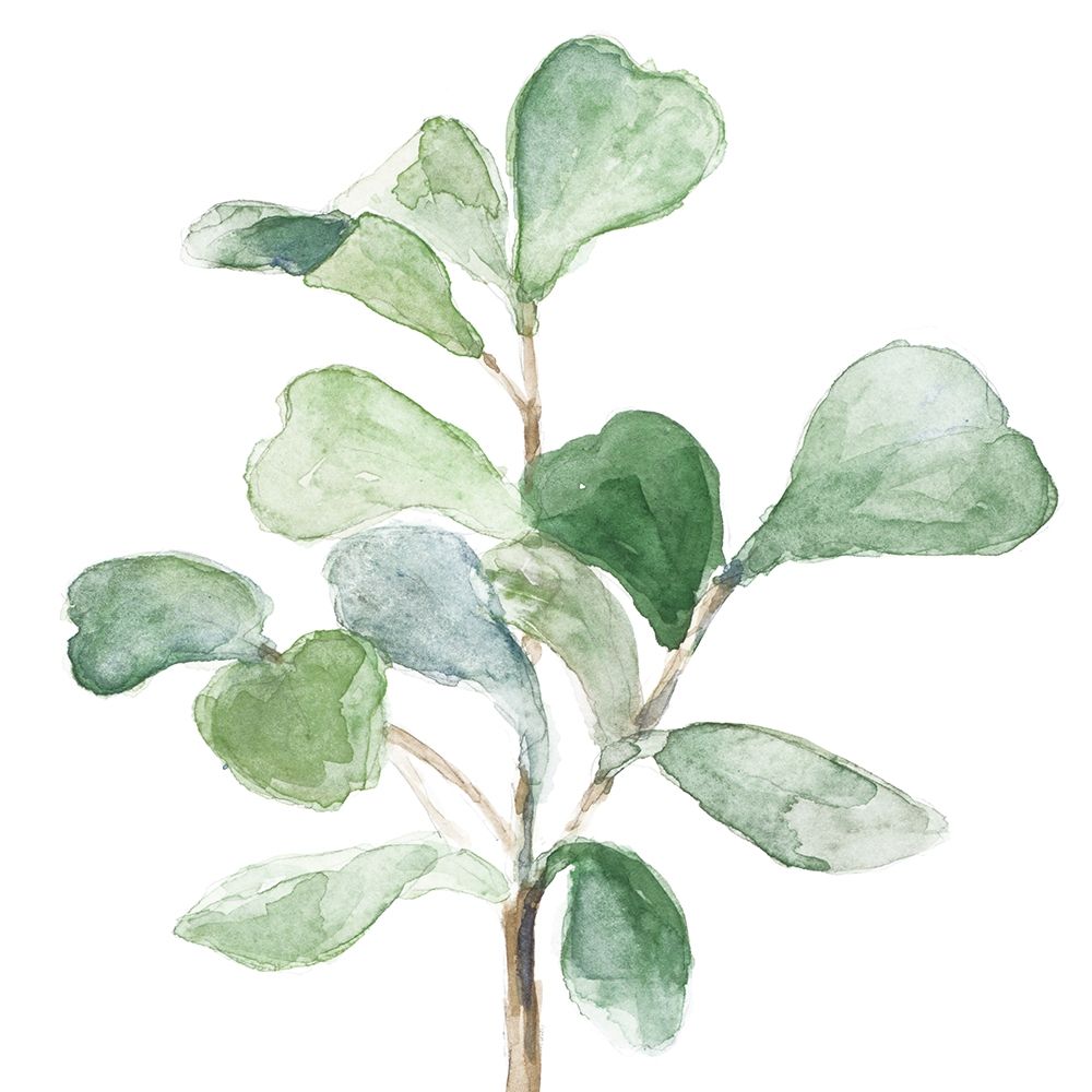 Fiddle Fig Leaf Plant I art print by Lanie Loreth for $57.95 CAD
