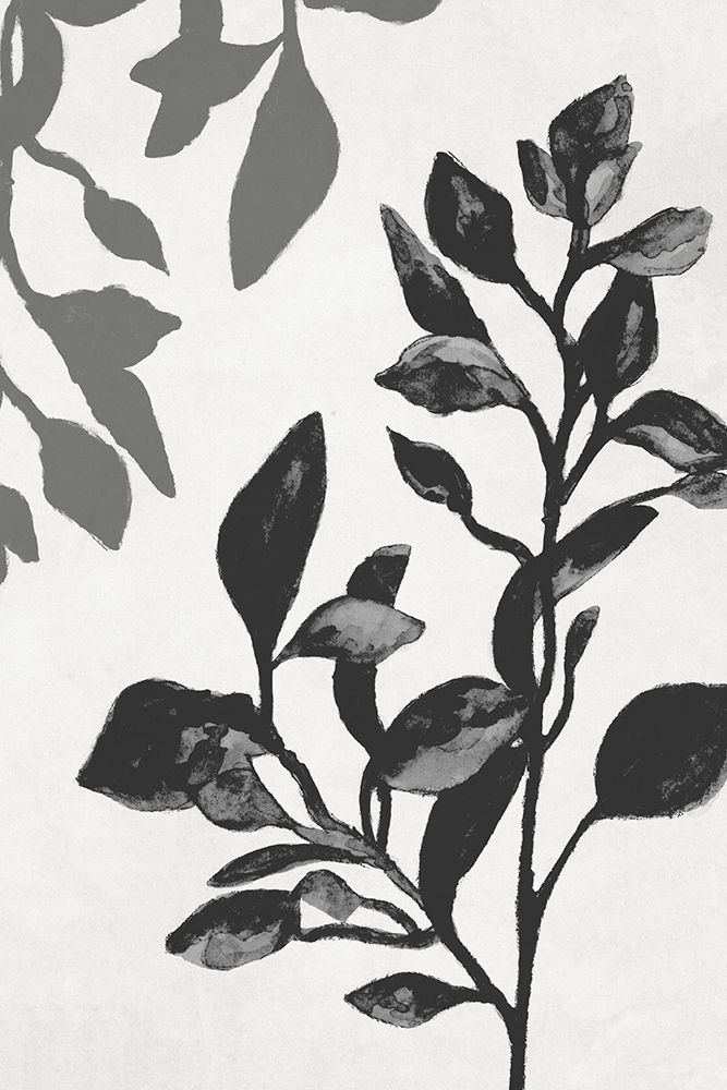 Botanical In Noir I art print by Janice Gaynor for $57.95 CAD