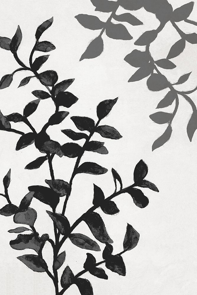 Botanical In Noir II art print by Janice Gaynor for $57.95 CAD