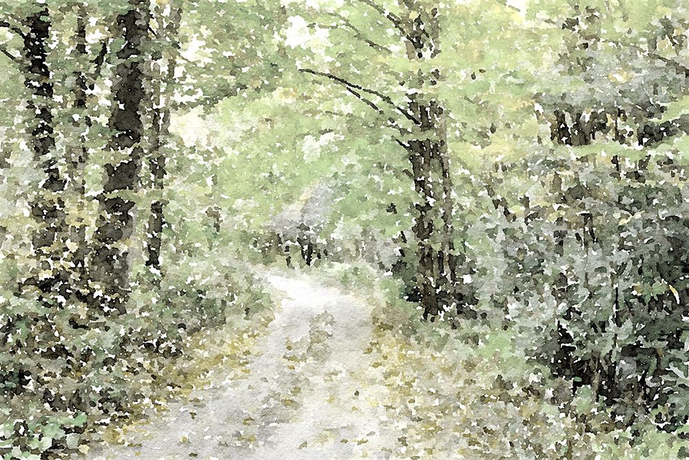 Dappled Path art print by Kathy Mansfield for $57.95 CAD
