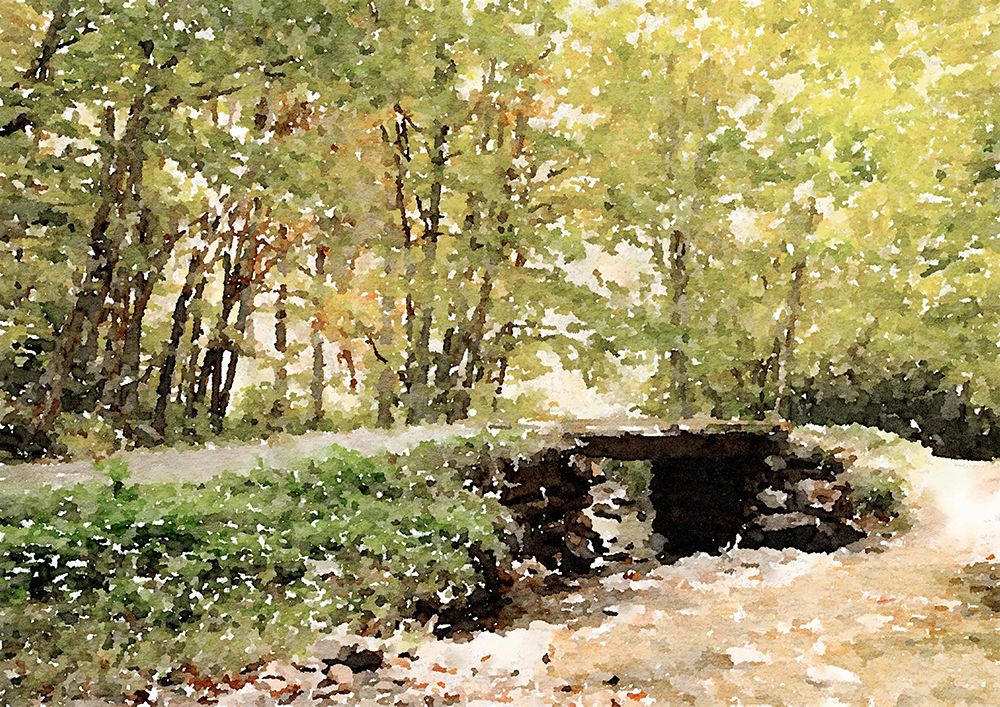 Dappled Stream art print by Kathy Mansfield for $57.95 CAD