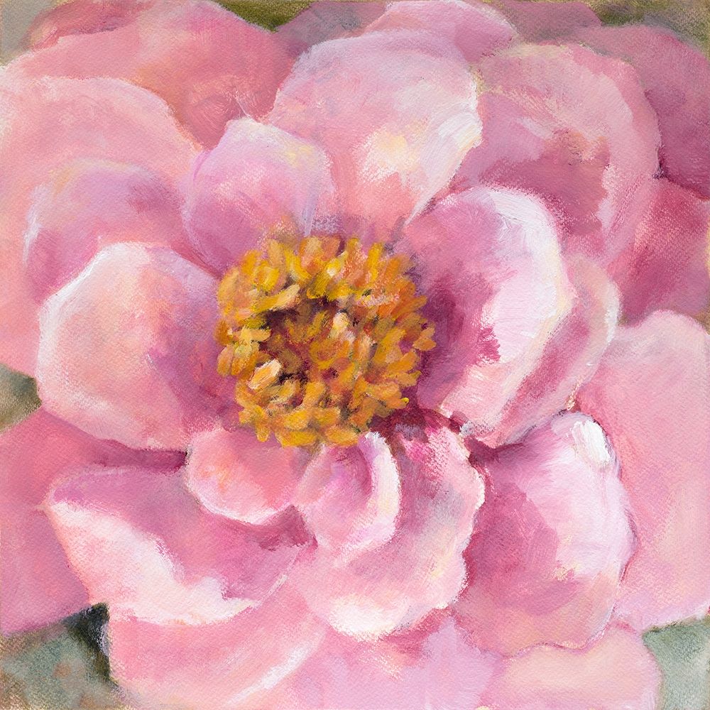 Blushing Bloom art print by Lanie Loreth for $57.95 CAD