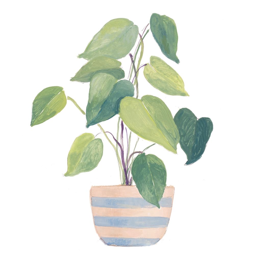 Mother-In-Law Plant In Striped Pot art print by Lanie Loreth for $57.95 CAD
