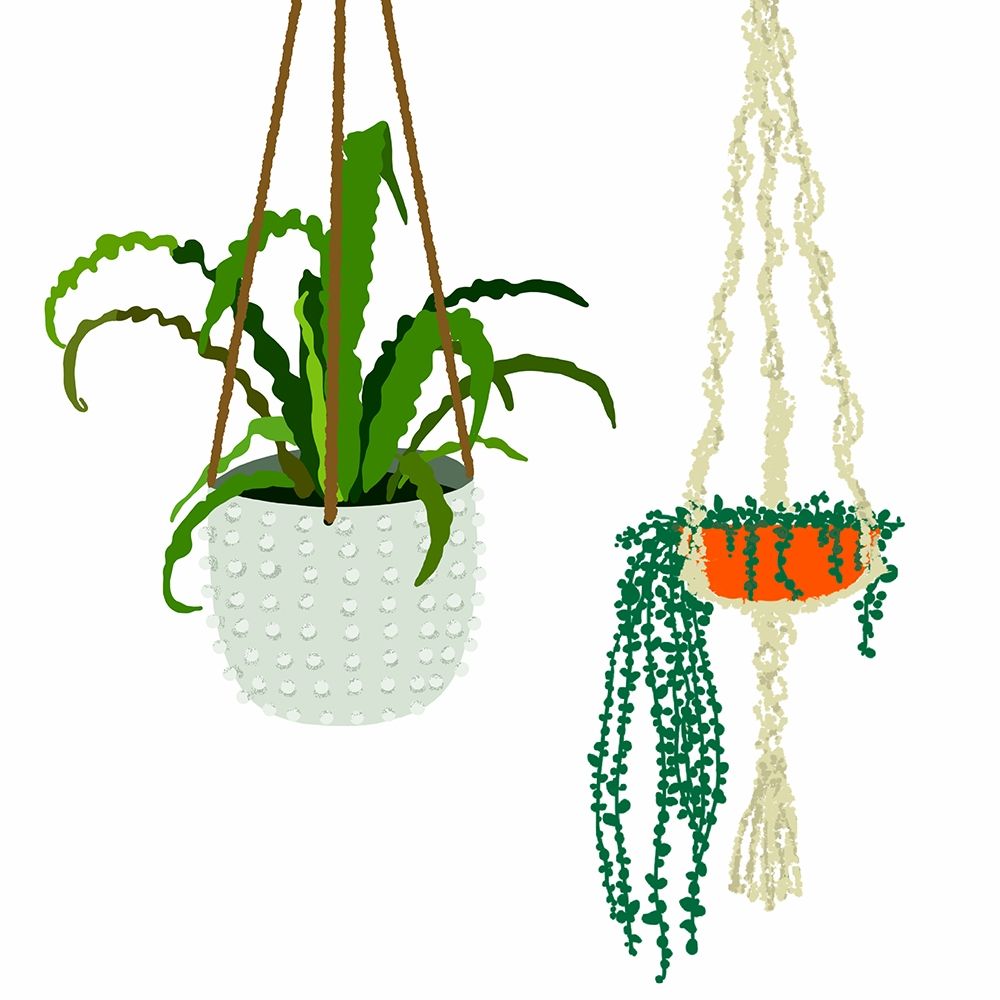 Hanging Plant Duo art print by Jen Bucheli for $57.95 CAD