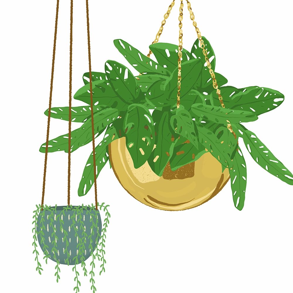 Hanging Plant Set art print by Jen Bucheli for $57.95 CAD
