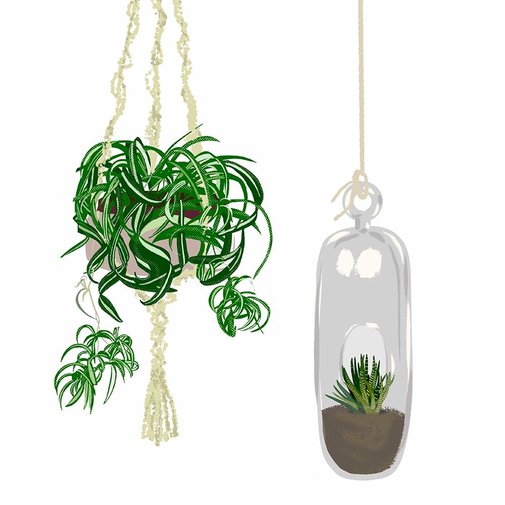 Hanging Plant Set II art print by Jen Bucheli for $57.95 CAD