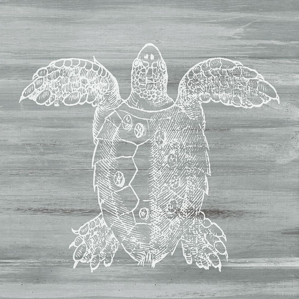 White Turtle on Gray art print by Dan Meneely for $57.95 CAD