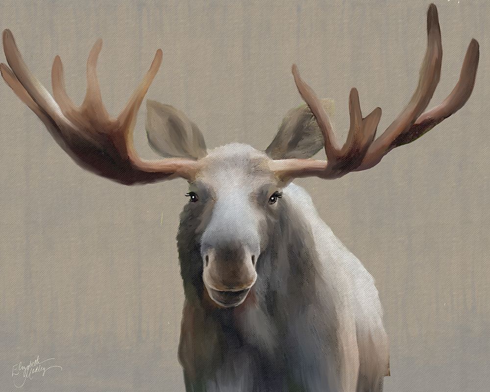 Alert Moose art print by Elizabeth Medley for $57.95 CAD