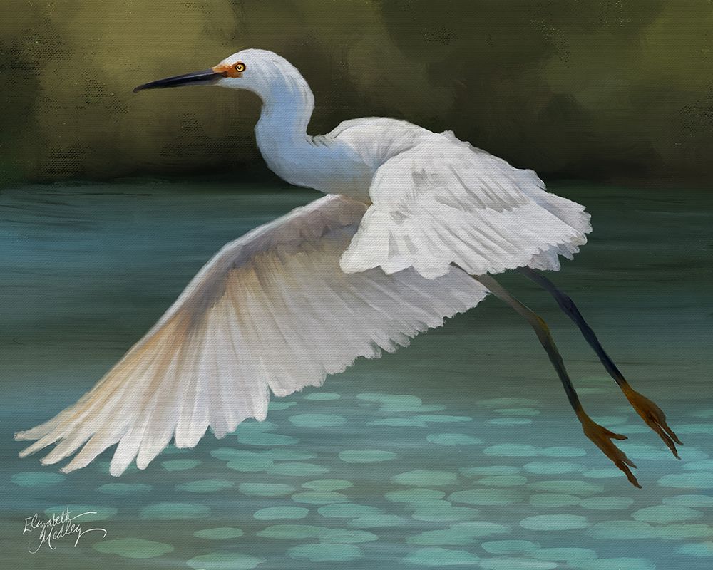 Flying Heron art print by Elizabeth Medley for $57.95 CAD